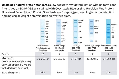 Protein Ladders and Standards (Markers)